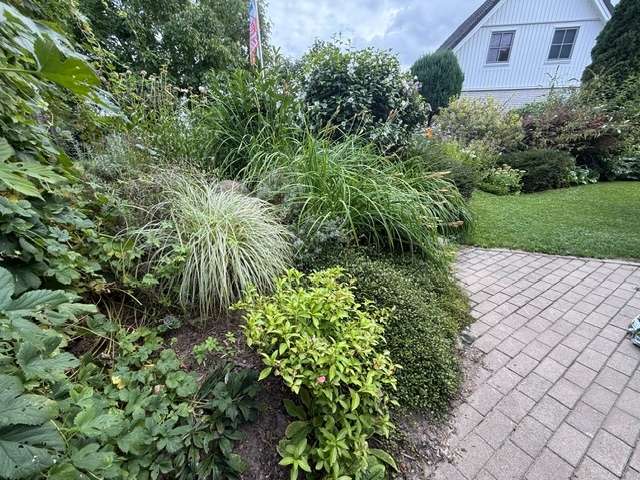 Garten Einfamilienhaus Blankenhagen